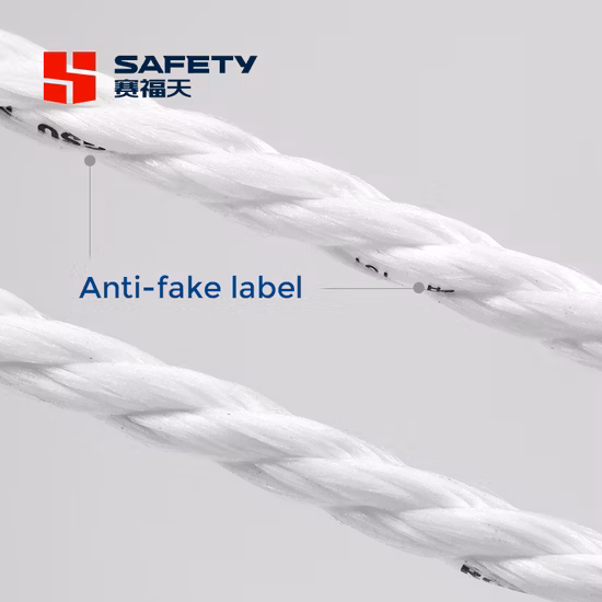6*19s+FC Steel Wire Rope Fittings